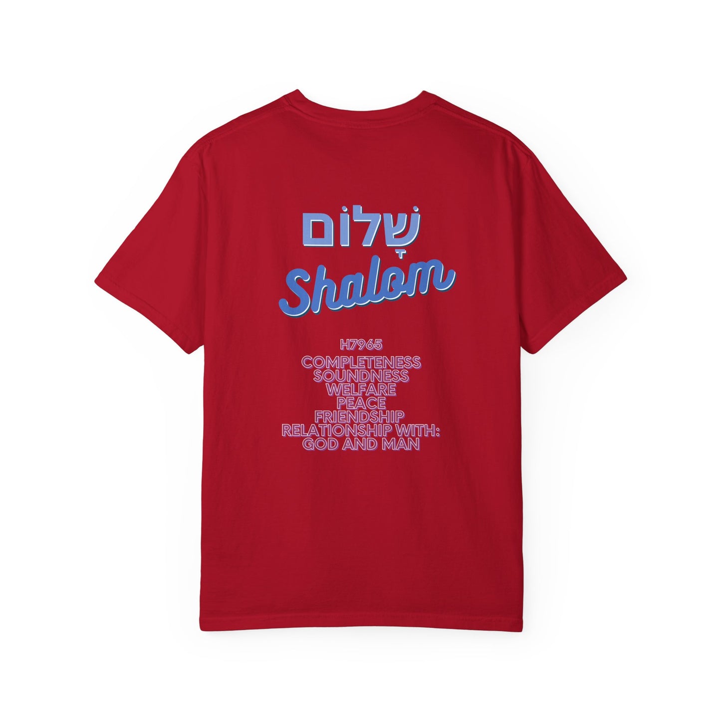 Shalom to You - Hebrew Blessing Tee