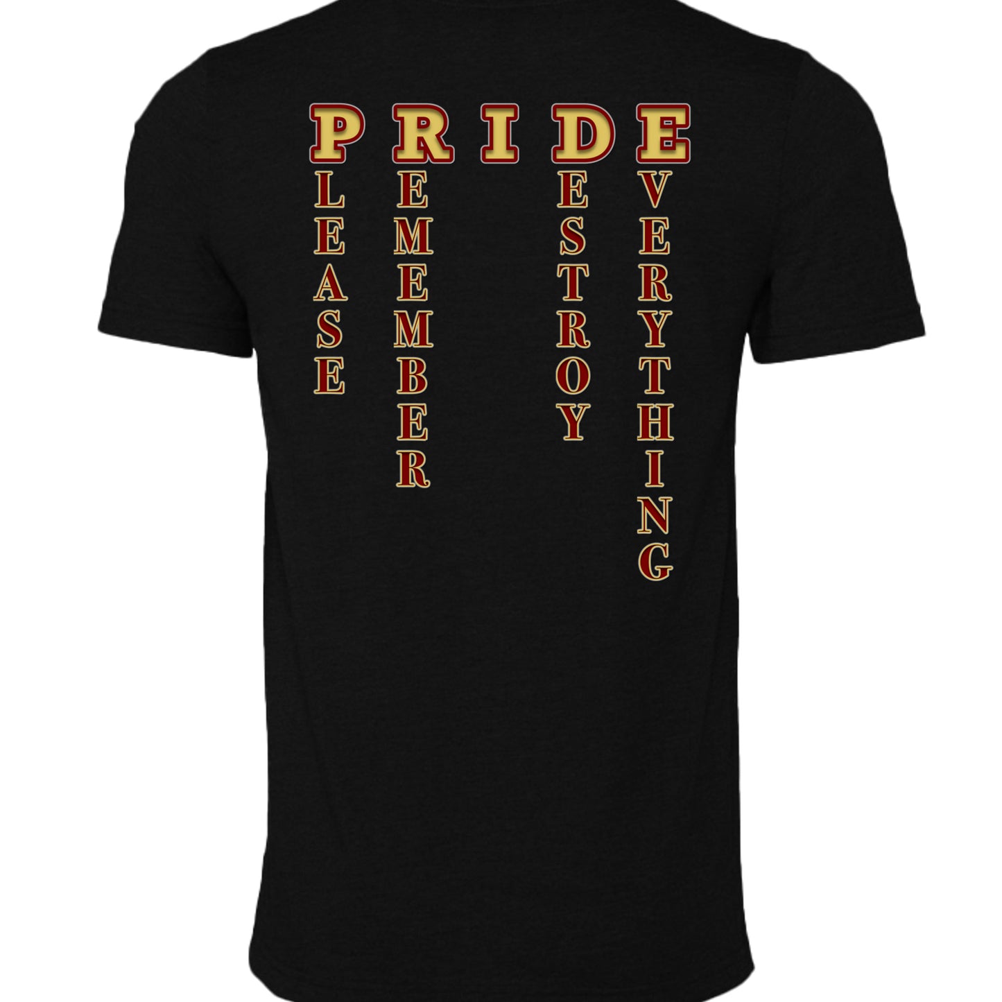BLACK HEATHER - 3001CVC - BACK