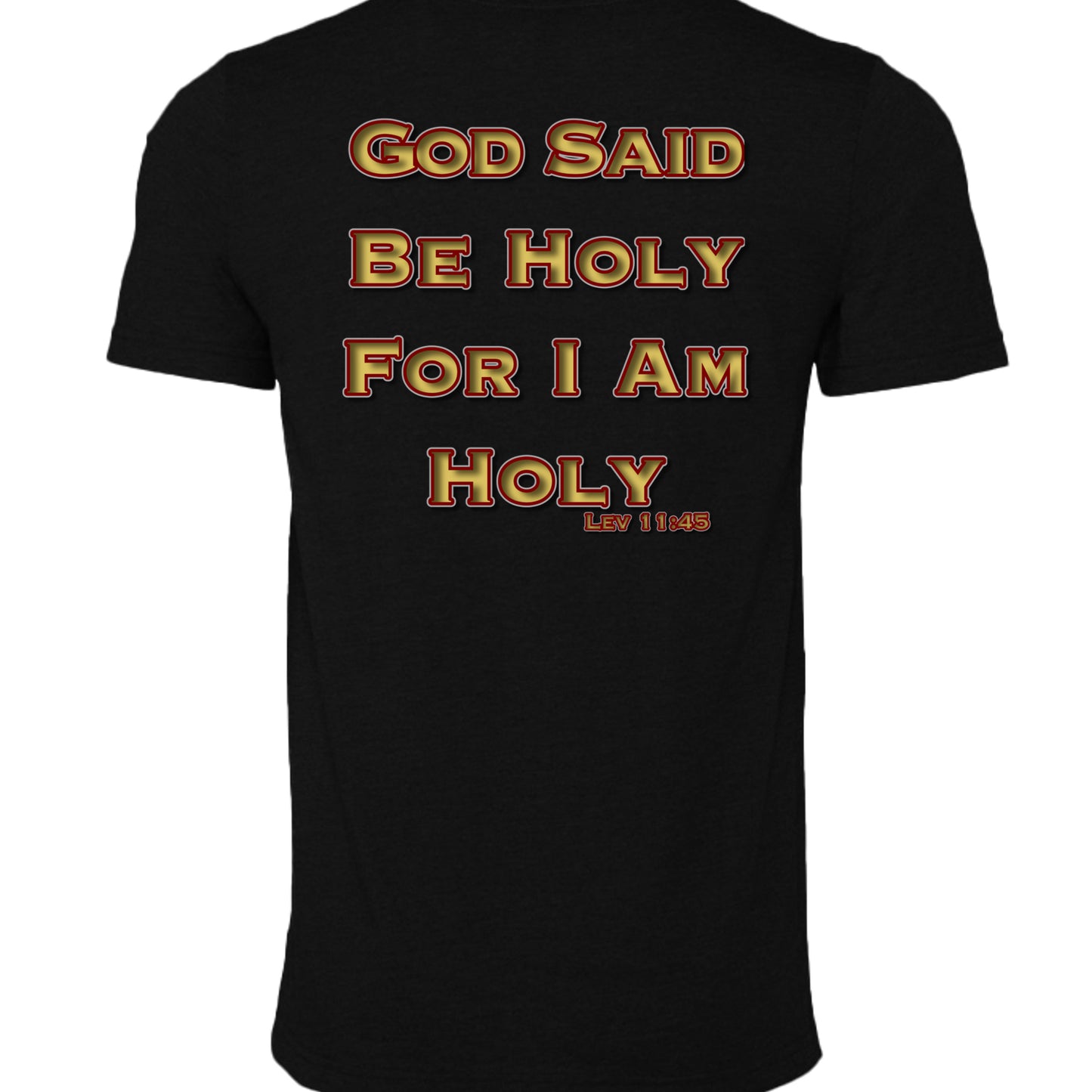 BLACK HEATHER - 3001CVC - BACK