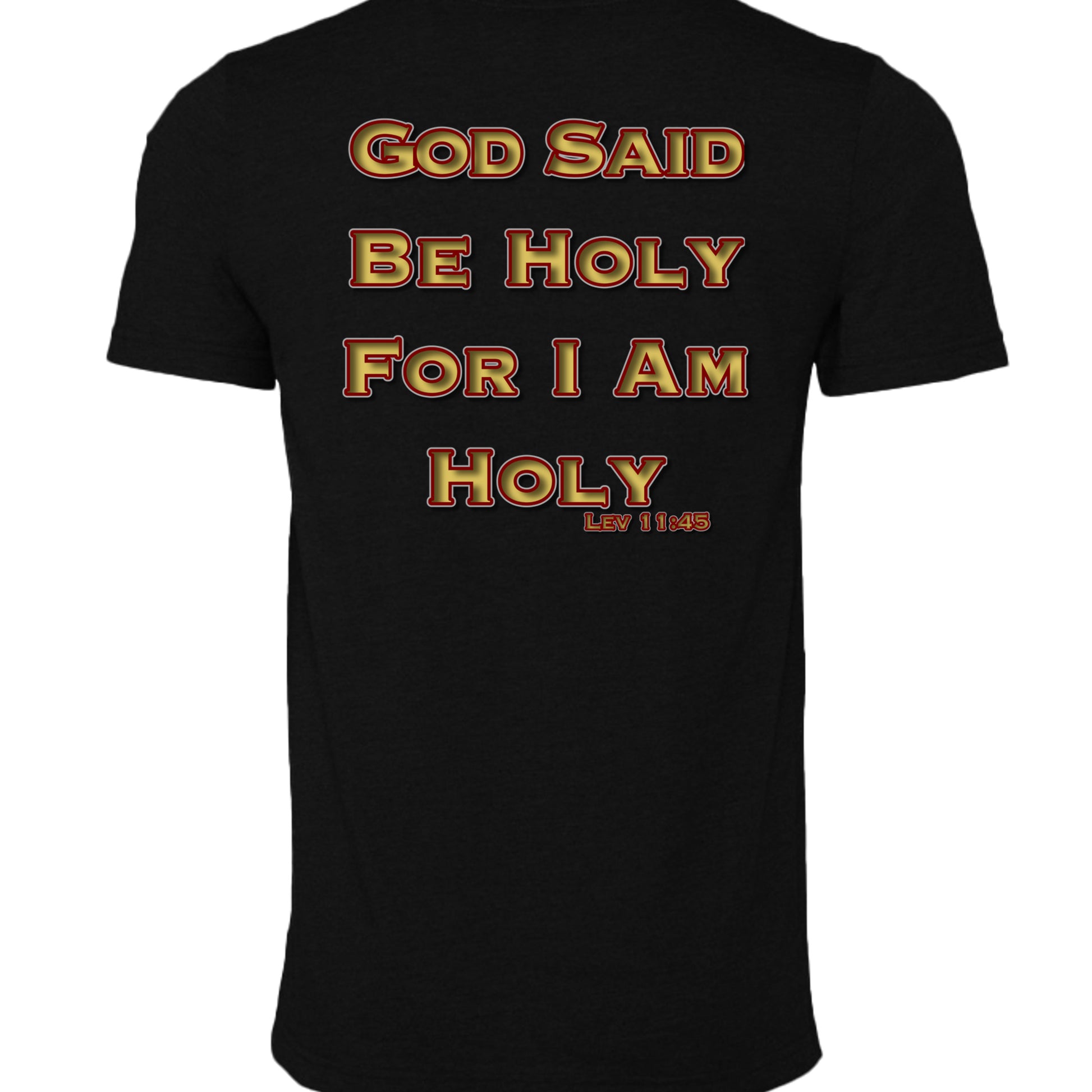BLACK HEATHER - 3001CVC - BACK