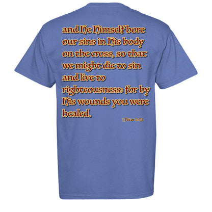 PERIWINKLE - C1717 - BACK