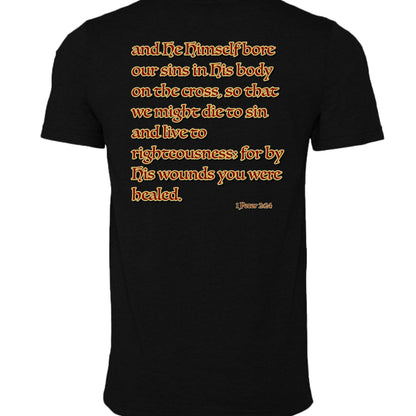 BLACK HEATHER - 3001CVC - BACK