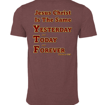 HEATHER MAROON - 3001CVC - BACK